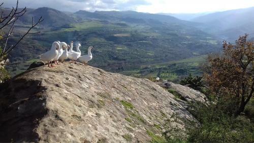 Agroturismo Barone Montefeo