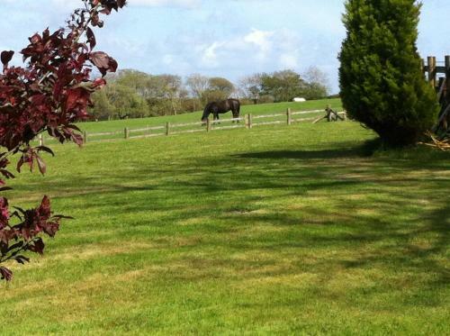 Agroturismo East Hook Farmhouse