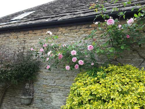 Bed & Breakfast Rose Cottage