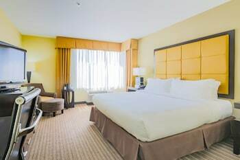 Hotel Holiday Inn Mobile Airport