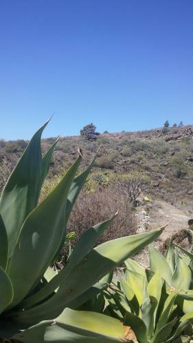 Agroturismo Casa Rural La Venta