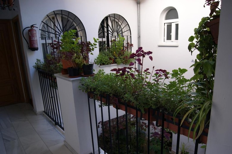 Hostal Alc�zar