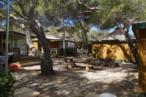 Camping Cala Nova