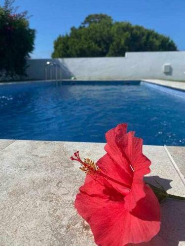 Villa Chalets Conilizate 12 Pax Piscina 300mts Playa