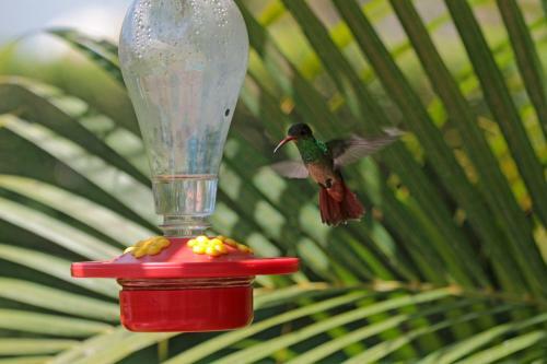 Agroturismo Villa Flor Blanca