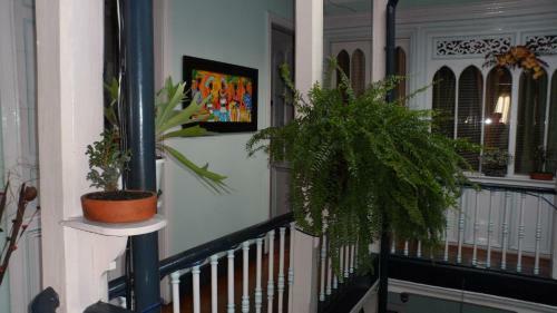 Hostal Zohar Hostel