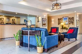 Hotel Comfort Inn - Chandler