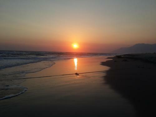 Hostal Rose Pension