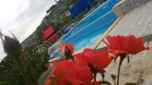 Hostal Rose Pension