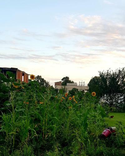 Hostal Rose Pension