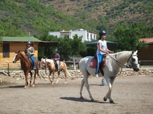 Oranj Ranch Hotel