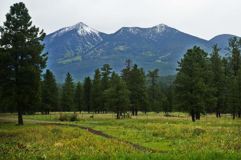Doubletree By Hilton Hotel Flagstaff