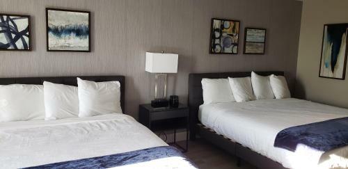 Lexington Hotel And Suites