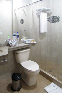 Hotel Platinum Suite