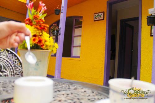 Hotel Casa Galeria