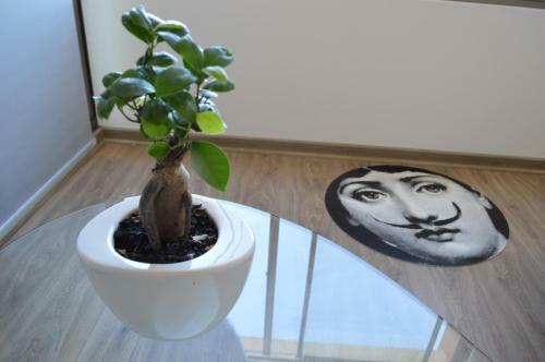 Art Apartment Chile