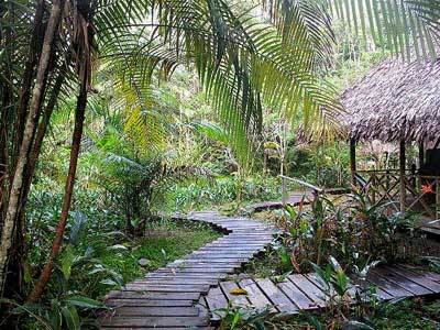 Hostal Reserva Natural Heliconia Amazonas