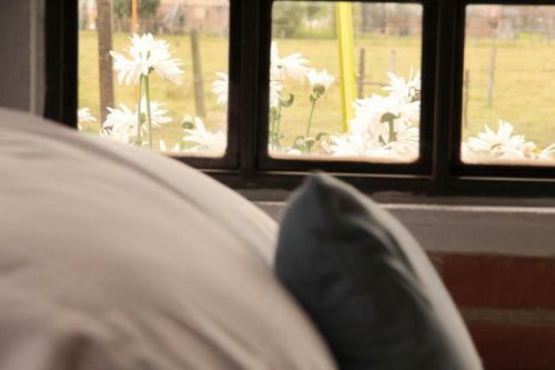 Hotel Caba�a Campestre El Refugio