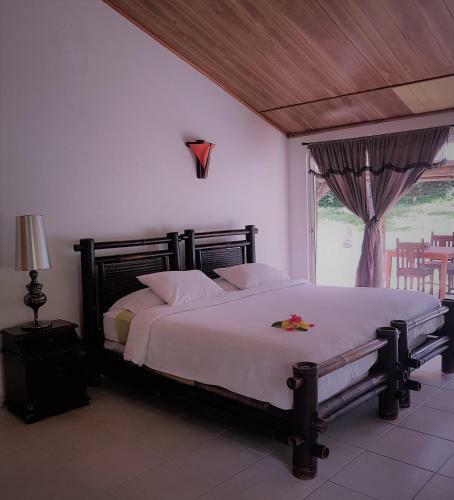 Hotel Playa Tranquilo B&B And Dive Shop