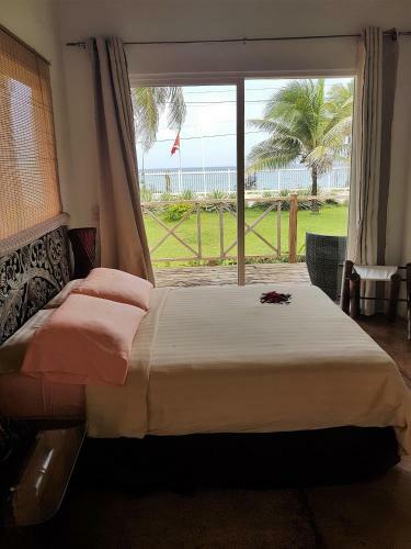 Hotel Playa Tranquilo B&B And Dive Shop