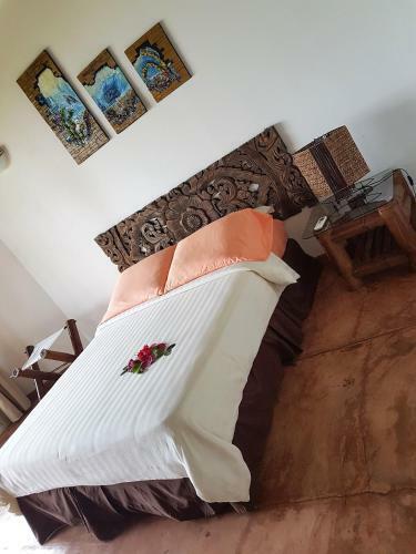 Hotel Playa Tranquilo B&B And Dive Shop