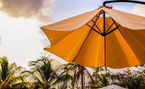 Hotel Playa Tranquilo B&B And Dive Shop