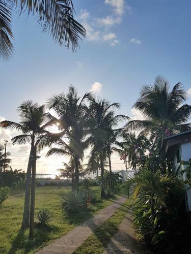 Hotel Playa Tranquilo B&B And Dive Shop