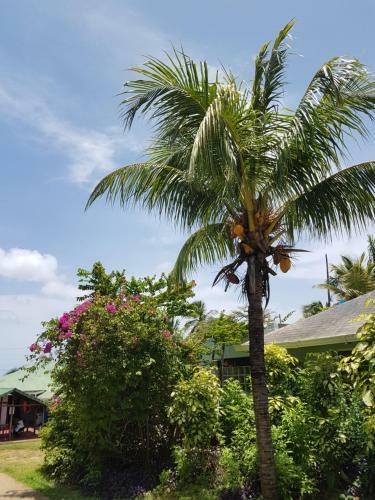 Hotel Playa Tranquilo B&B And Dive Shop