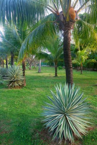 Hotel Playa Tranquilo B&B And Dive Shop