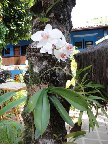 Hostal Pousada Dos Meros