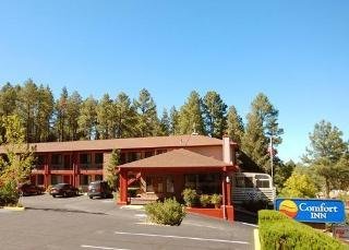 Hotel Comfort Inn At Ponderosa Pines