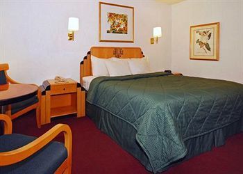 Hotel Comfort Inn At Ponderosa Pines