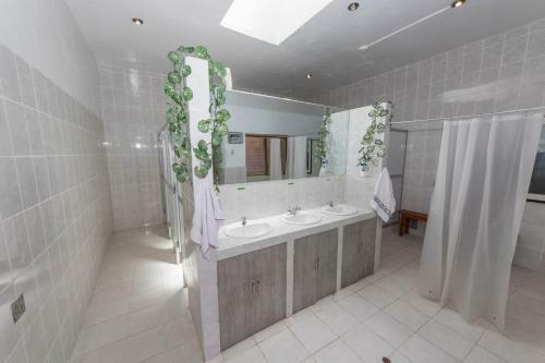 Ecopackers Hostels