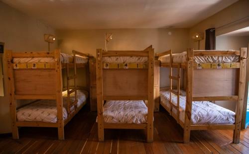 Ecopackers Hostels