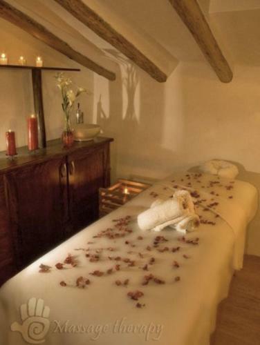 Bed & Breakfast Samana Inn & Spa