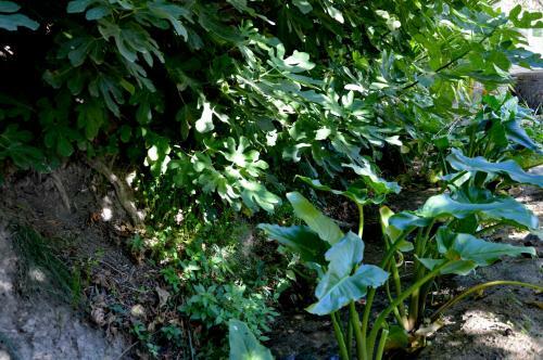 Agroturismo Ecoalbergue Rural De Algodonales