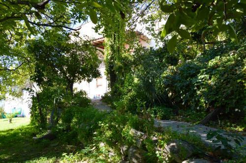 Agroturismo Ecoalbergue Rural De Algodonales