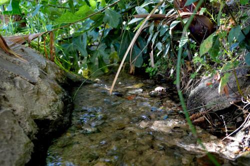 Agroturismo Ecoalbergue Rural De Algodonales