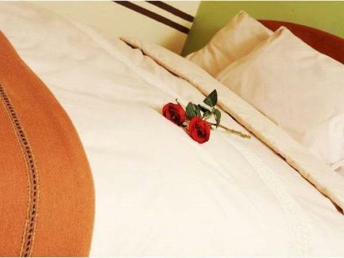 Hotel Eureka San Blas