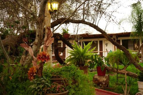 Hostal Rochabus