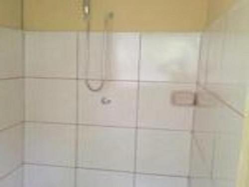 Jungle Explorer Lodge