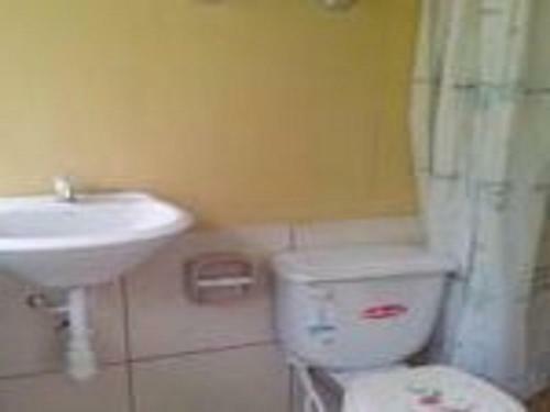 Jungle Explorer Lodge