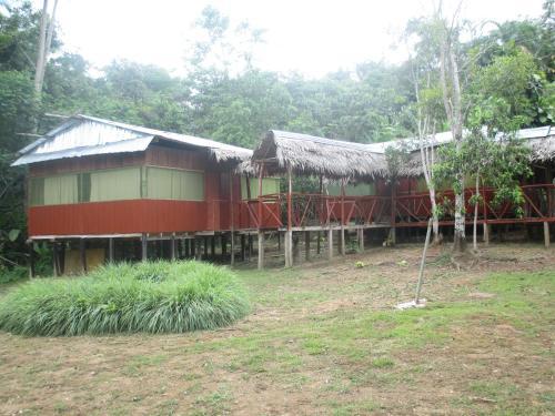 Jungle Explorer Lodge