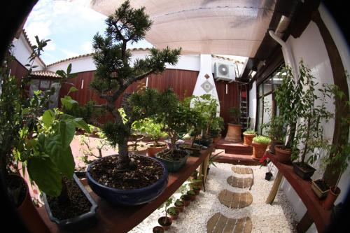 Agroturismo Casa Rural Arte Y Descanso