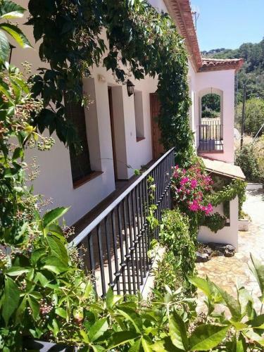 Agroturismo Apartamento Rural Las Palmeras