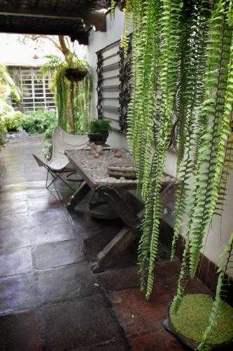 Bed & Breakfast Hospedaje El Zagu�n
