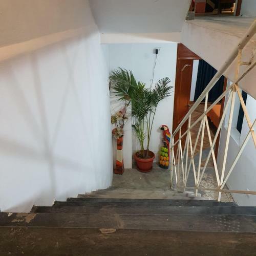 Lima Airport Hostel