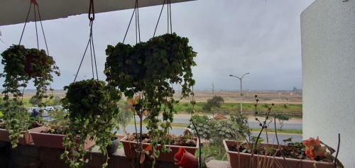 Lima Airport Hostel