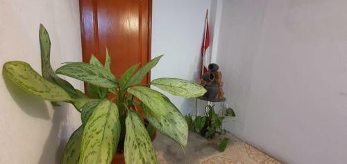 Lima Airport Hostel