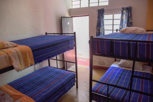 Bed & Breakfast Brabant Hostal